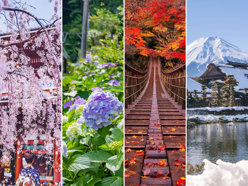 Du lịch Nhật Bản 4 mùa