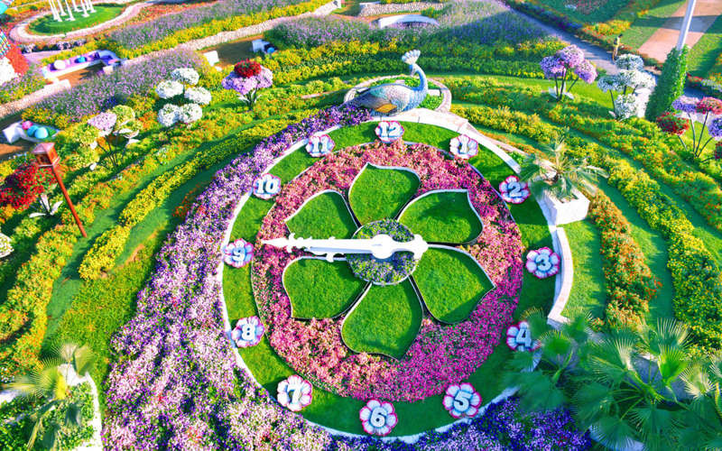 Vườn hoa Miracle Garden