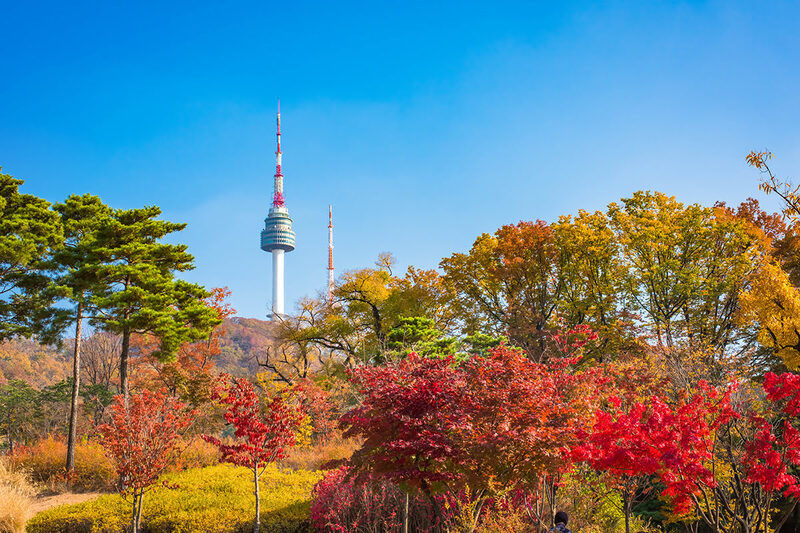 Tháp Namsan & Công viên Namsan