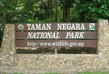 Công viên Taman Negara