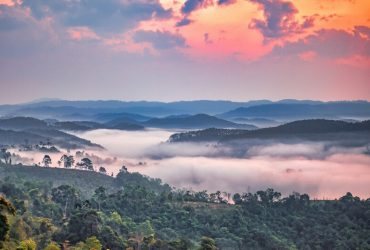 Săn mây buổi sáng tại Măng Đen