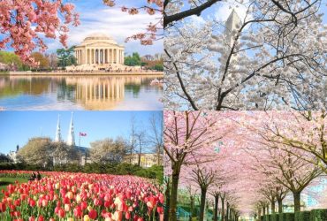 Khung cảnh mùa xuân tại Mỹ Canada tháng 3 (