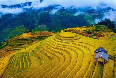 Du lịch Mù Cang Chải mùa thu