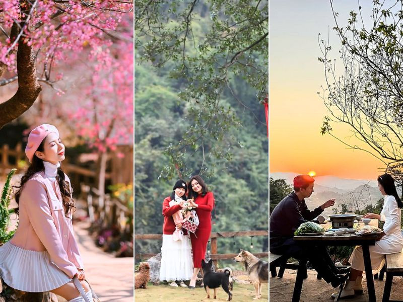 Nhiều góc check-in “cực xịn” tại Mu Náu Farm Mộc Châu  Nhiều góc check-in “cực xịn” tại Mu Náu Farm Mộc Châu