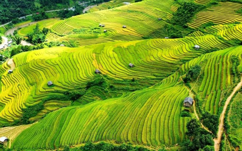 Nét đẹp khu vực Tây Bắc của Việt Nam Nét đẹp khu vực Tây Bắc của Việt Nam