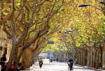 Thượng Hải tháng 12 có thời tiết lạnh ẩm