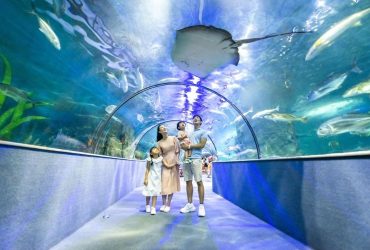 Vinpearl Aquarium Times City - một trong các thủy cung hiện đại nhất