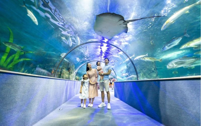 Vinpearl Aquarium Times City - một trong các thủy cung hiện đại nhất