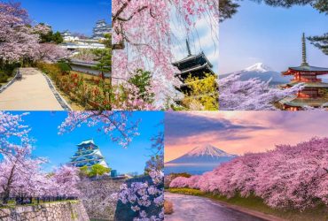 Nhật Bản tháng 4: nắng ấm, trời trong và cảnh sắc mùa xuân