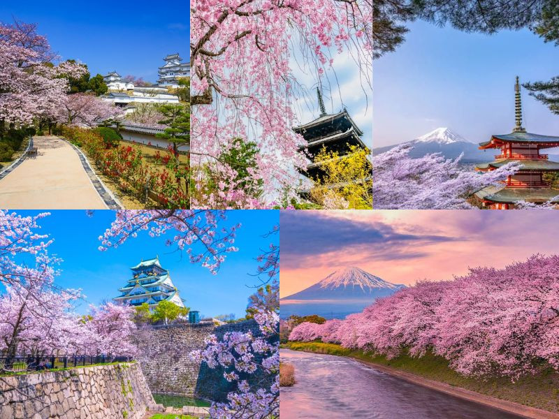 Nhật Bản tháng 4: nắng ấm, trời trong và cảnh sắc mùa xuân Nhật Bản tháng 4: nắng ấm, trời trong và cảnh sắc mùa xuân