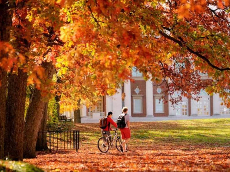 Khung cảnh mùa thu nước Úc với sắc vàng cam lãng mạn Khung cảnh mùa thu nước Úc với sắc vàng cam lãng mạn