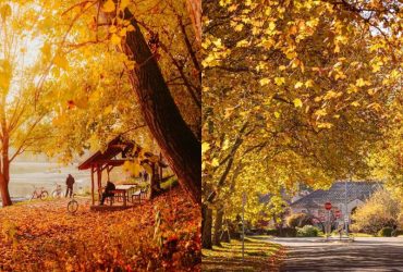 Du lịch Úc tháng 4 ghi điểm với thời tiết ôn hòa, cảnh thu dịu dàng và không quá đông khách