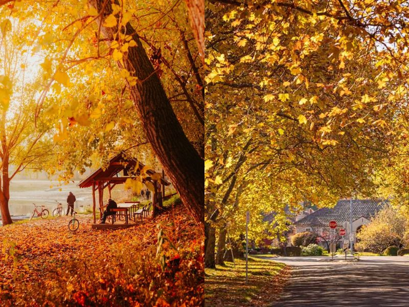 Du lịch Úc tháng 4 ghi điểm với thời tiết ôn hòa, cảnh thu dịu dàng và không quá đông khách Du lịch Úc tháng 4 ghi điểm với thời tiết ôn hòa, cảnh thu dịu dàng và không quá đông khách