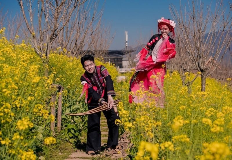 Tour Sapa - Mặc trang phục dân tộc chụp hình với đồng hoa cải