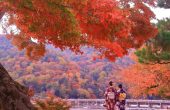 Mùa thu tại Arashiyama, thành phố Kyoto (Ảnh sưu tầm)
