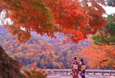Mùa thu tại Arashiyama, thành phố Kyoto (Ảnh sưu tầm)